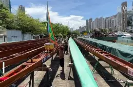 庐州鲸鲨队鏖战天山黑豹队，UFC巡回赛惊险晋级，核心复出即建功。临场应变见真章-开云官网APP